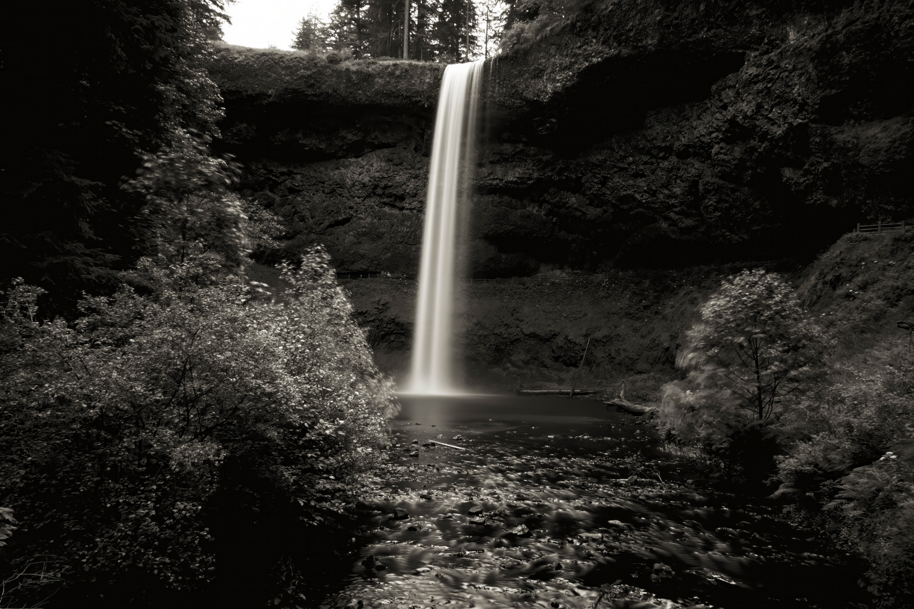 South Fork, Silver Falls State Park
